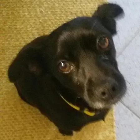 Umema Alojamento de Acomodação e Pequeno-almoço