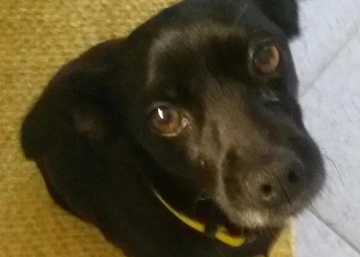 Umema Bed & Breakfast